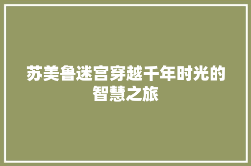 苏美鲁迷宫穿越千年时光的智慧之旅 友链在线