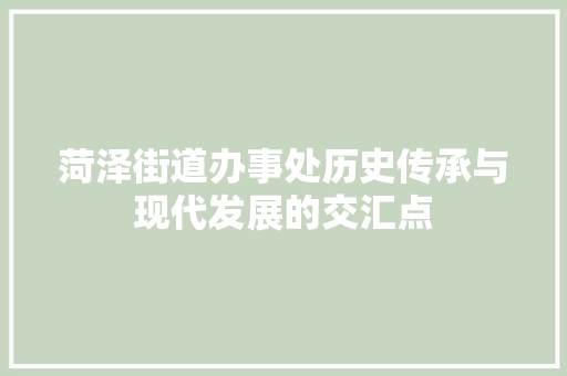 菏泽街道办事处历史传承与现代发展的交汇点 Web前端