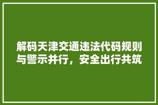 解码天津交通违法代码规则与警示并行，安全出行共筑和谐