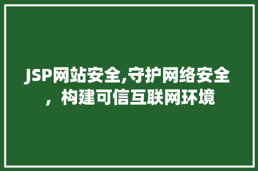 JSP网站安全,守护网络安全，构建可信互联网环境