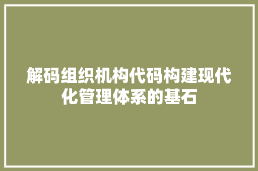 解码组织机构代码构建现代化管理体系的基石