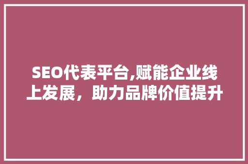 SEO代表平台,赋能企业线上发展，助力品牌价值提升