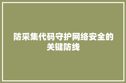 防采集代码守护网络安全的关键防线 服务器/数据库