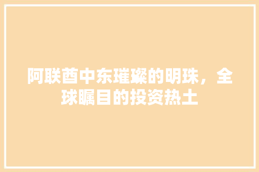 阿联酋中东璀璨的明珠，全球瞩目的投资热土