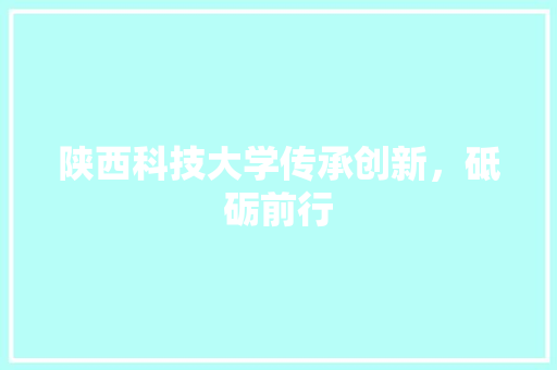 陕西科技大学传承创新，砥砺前行 Web前端