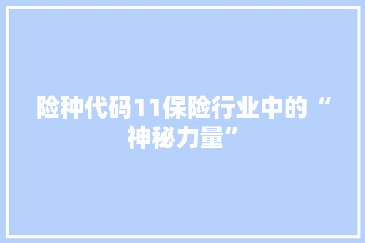 险种代码11保险行业中的“神秘力量” SEO教程