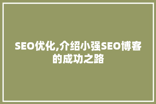 SEO优化,介绍小强SEO博客的成功之路