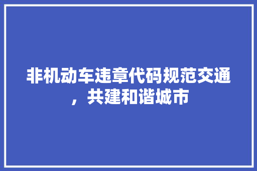 非机动车违章代码规范交通，共建和谐城市 SEO教程