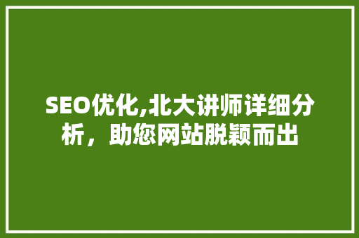 SEO优化,北大讲师详细分析，助您网站脱颖而出