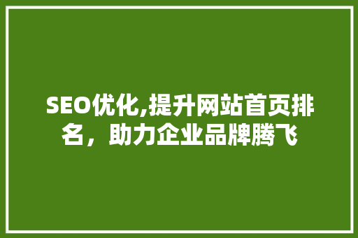 SEO优化,提升网站首页排名，助力企业品牌腾飞 SEO优化,提升网站首页排名，助力企业品牌腾飞 SEO教程