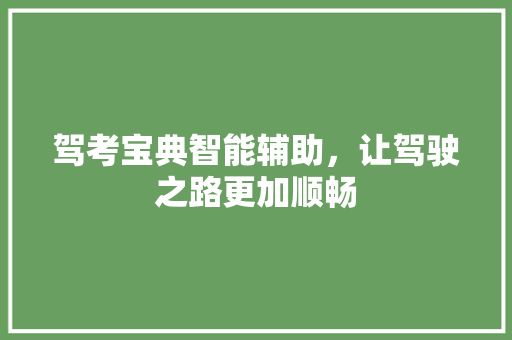 驾考宝典智能辅助，让驾驶之路更加顺畅