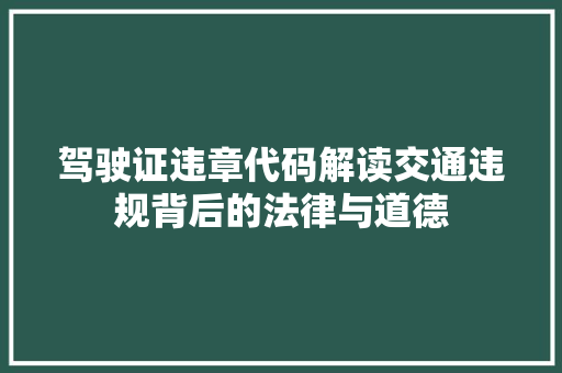 驾驶证违章代码解读交通违规背后的法律与道德 Web前端