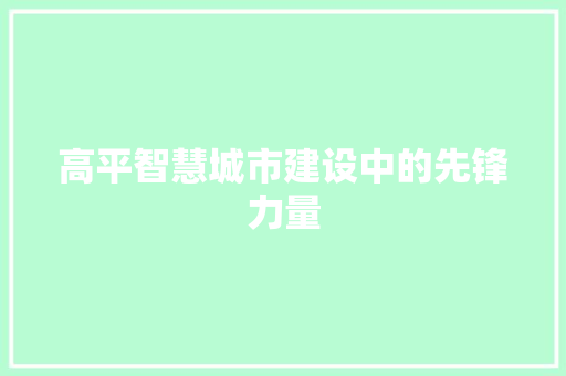 高平智慧城市建设中的先锋力量 SEO教程