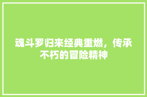 魂斗罗归来经典重燃，传承不朽的冒险精神 SEO教程