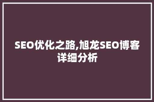 SEO优化之路,旭龙SEO博客详细分析