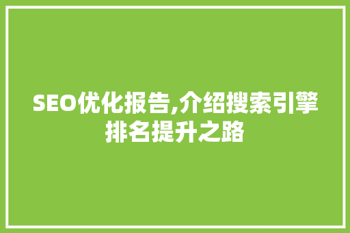 SEO优化报告,介绍搜索引擎排名提升之路