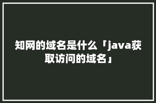 知网的域名是什么「java获取访问的域名」