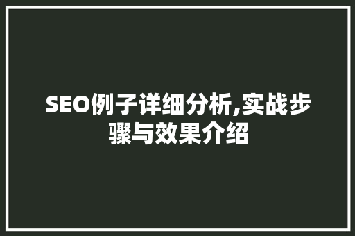 SEO例子详细分析,实战步骤与效果介绍
