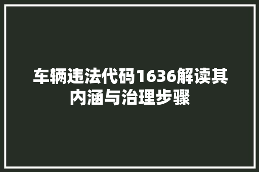 车辆违法代码1636解读其内涵与治理步骤