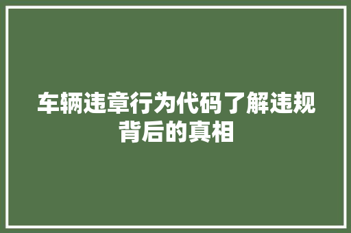 车辆违章行为代码了解违规背后的真相 WordPress教程