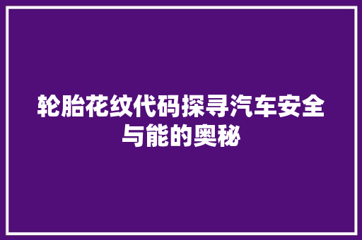 轮胎花纹代码探寻汽车安全与能的奥秘