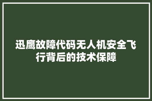 迅鹰故障代码无人机安全飞行背后的技术保障