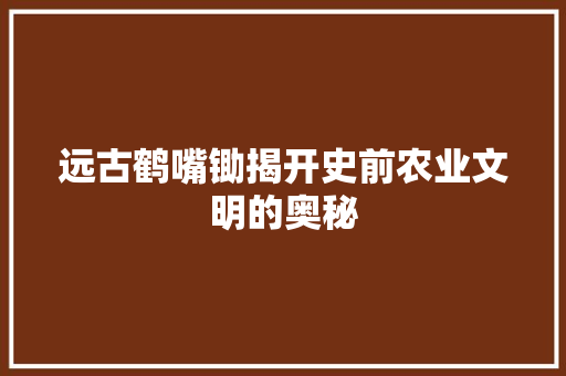 远古鹤嘴锄揭开史前农业文明的奥秘