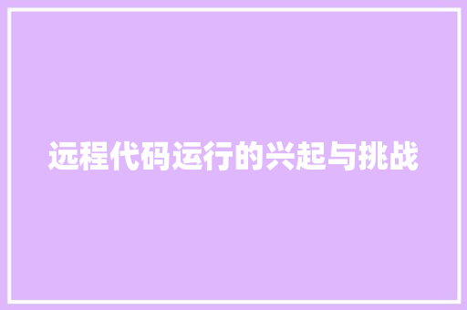 远程代码运行的兴起与挑战