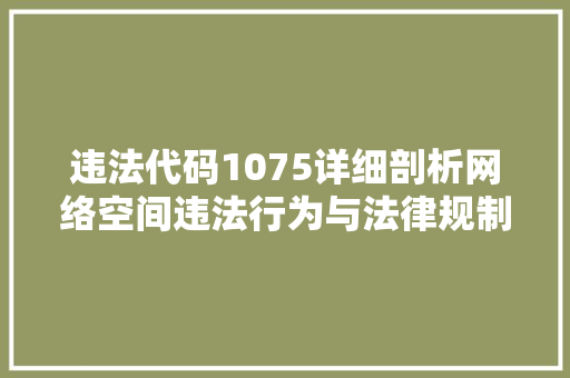 违法代码1075详细剖析网络空间违法行为与法律规制