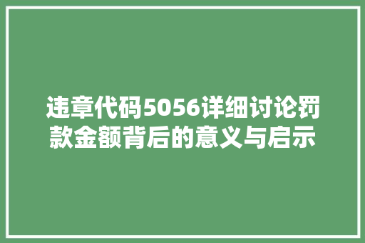 违章代码5056详细讨论罚款金额背后的意义与启示