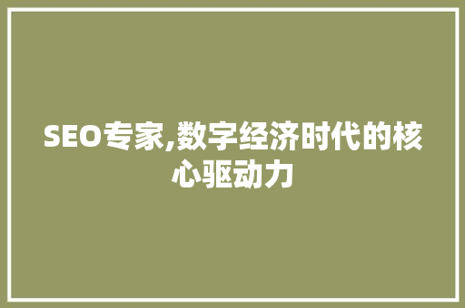 SEO专家,数字经济时代的核心驱动力