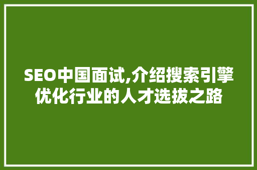 SEO中国面试,介绍搜索引擎优化行业的人才选拔之路