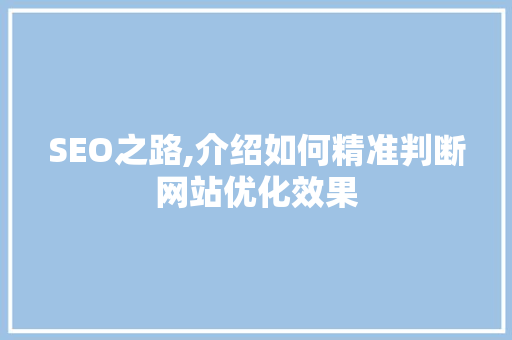 SEO之路,介绍如何精准判断网站优化效果