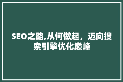 SEO之路,从何做起，迈向搜索引擎优化巅峰