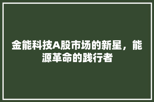 金能科技A股市场的新星，能源革命的践行者