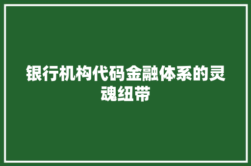 银行机构代码金融体系的灵魂纽带 建站教程