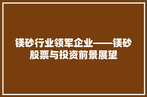 镁砂行业领军企业——镁砂股票与投资前景展望