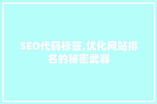 SEO代码标签,优化网站排名的秘密武器 SEO代码标签,优化网站排名的秘密武器 WordPress教程