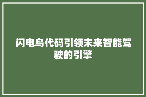闪电鸟代码引领未来智能驾驶的引擎