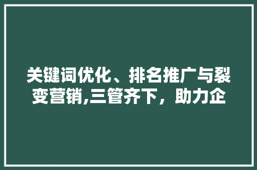 关键词优化、排名推广与裂变营销,三管齐下，助力企业品牌腾飞 SEO教程