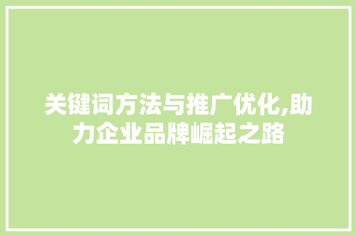 关键词方法与推广优化,助力企业品牌崛起之路