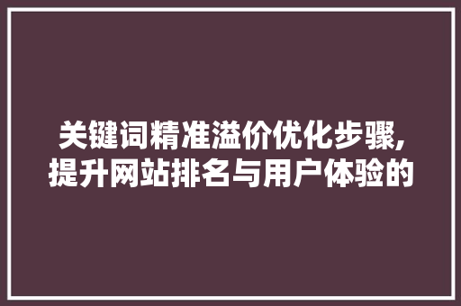 关键词精准溢价优化步骤,提升网站排名与用户体验的方法