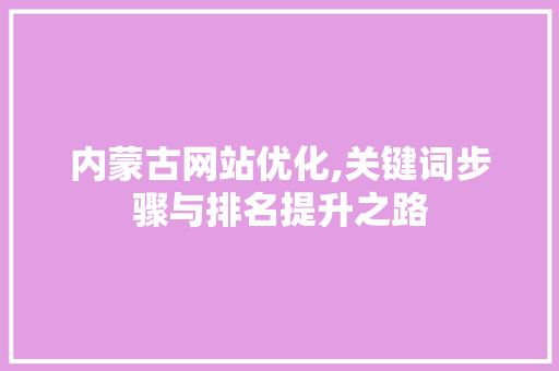 内蒙古网站优化,关键词步骤与排名提升之路