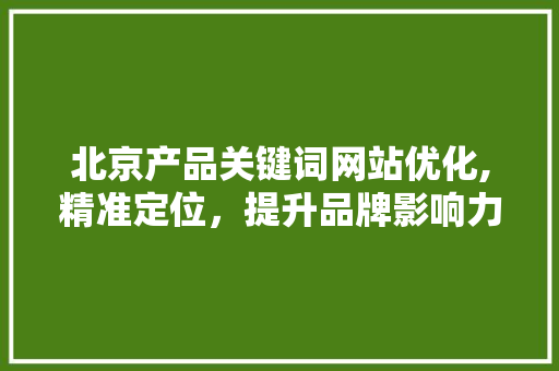 北京产品关键词网站优化,精准定位，提升品牌影响力
