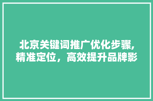 北京关键词推广优化步骤,精准定位，高效提升品牌影响力