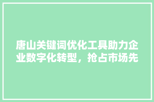 唐山关键词优化工具助力企业数字化转型，抢占市场先机