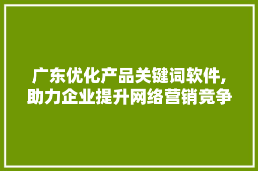 广东优化产品关键词软件,助力企业提升网络营销竞争力