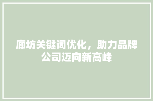 廊坊关键词优化，助力品牌公司迈向新高峰