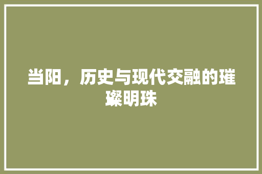 当阳，历史与现代交融的璀璨明珠