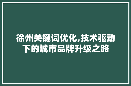 徐州关键词优化,技术驱动下的城市品牌升级之路